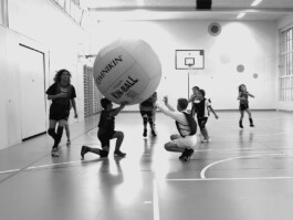 Kin-Ball Biel/Bienne