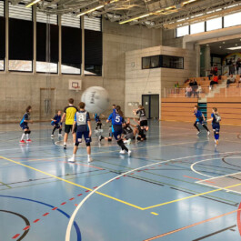 Kin-Ball Biel/Bienne