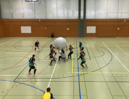 Kin-Ball Biel/Bienne